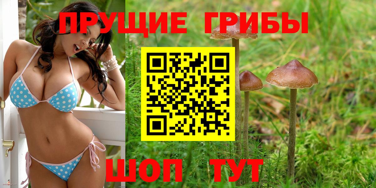 Галлюциногенные грибы MAGIC MUSHROOMS Орск