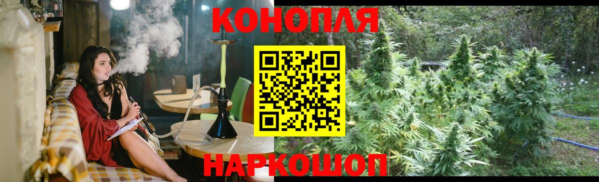 Орск  Бошки Шишки сатива  Канабис марихуана  Каннабис план  Вход с VPN 